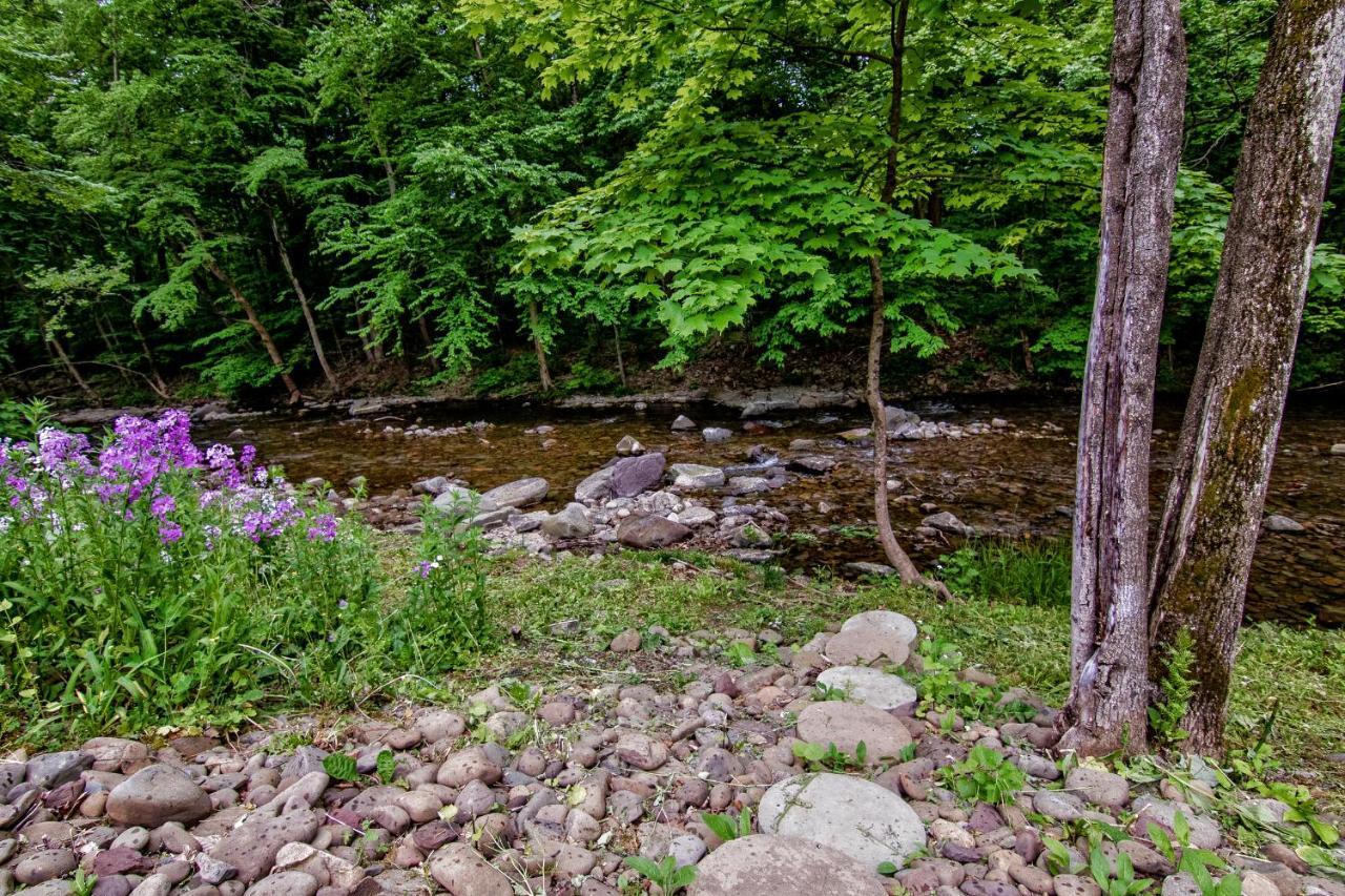 Cabin By The Creek With Private Creek Access Tannersville Eksteriør billede